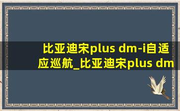 比亚迪宋plus dm-i自适应巡航_比亚迪宋plus dm-i自适应巡航设置